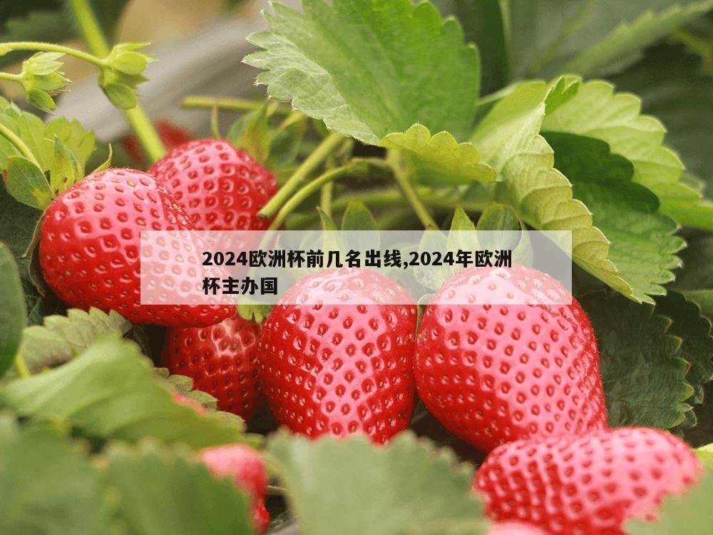 2024欧洲杯前几名出线,2024年欧洲杯主办国