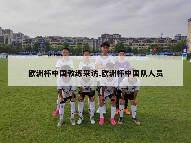 欧洲杯中国教练采访,欧洲杯中国队人员