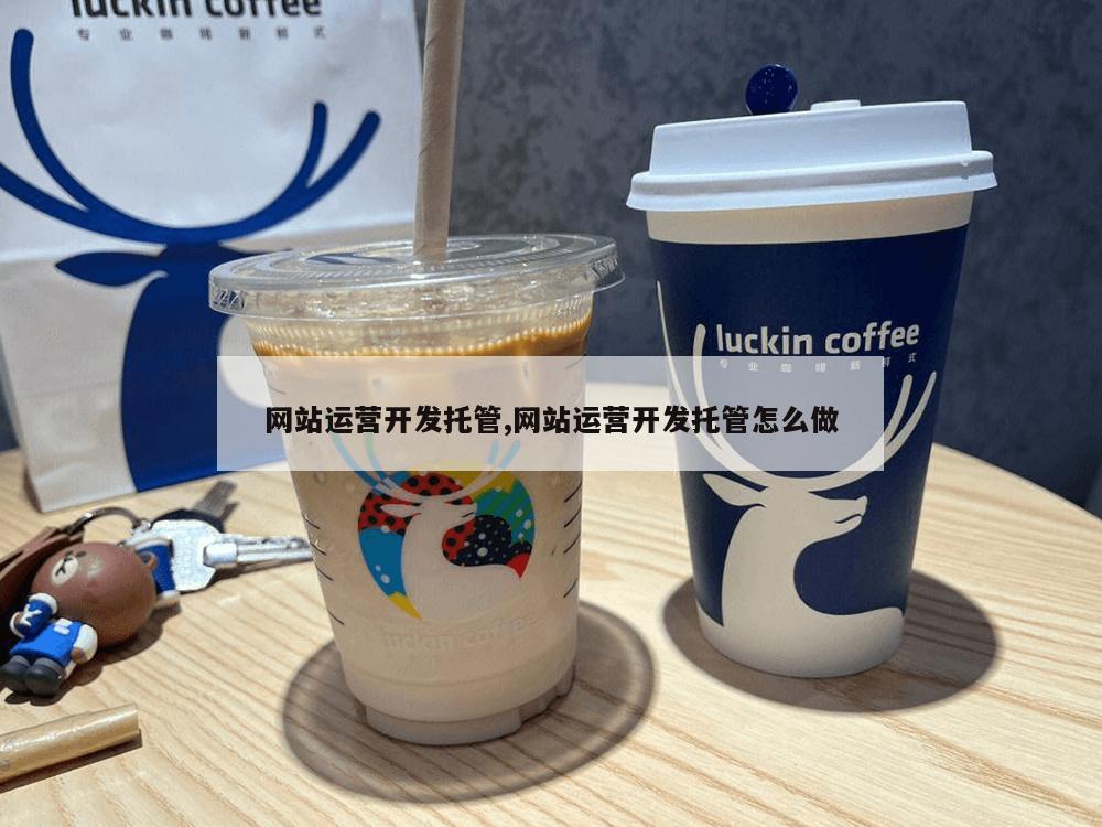 网站运营开发托管,网站运营开发托管怎么做