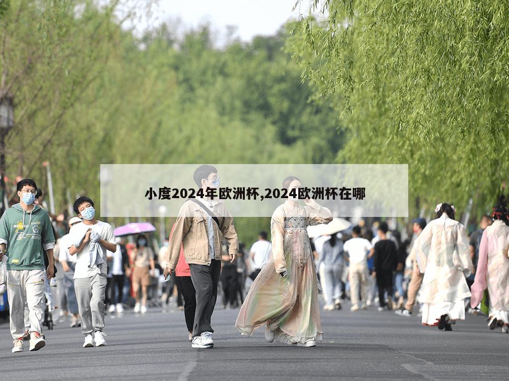 小度2024年欧洲杯,2024欧洲杯在哪