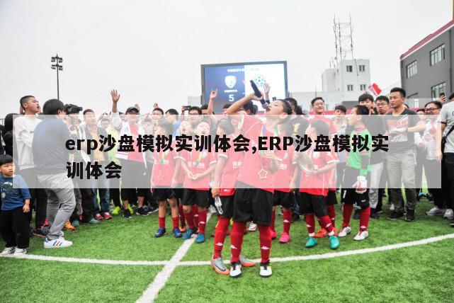 erp沙盘模拟实训体会,ERP沙盘模拟实训体会