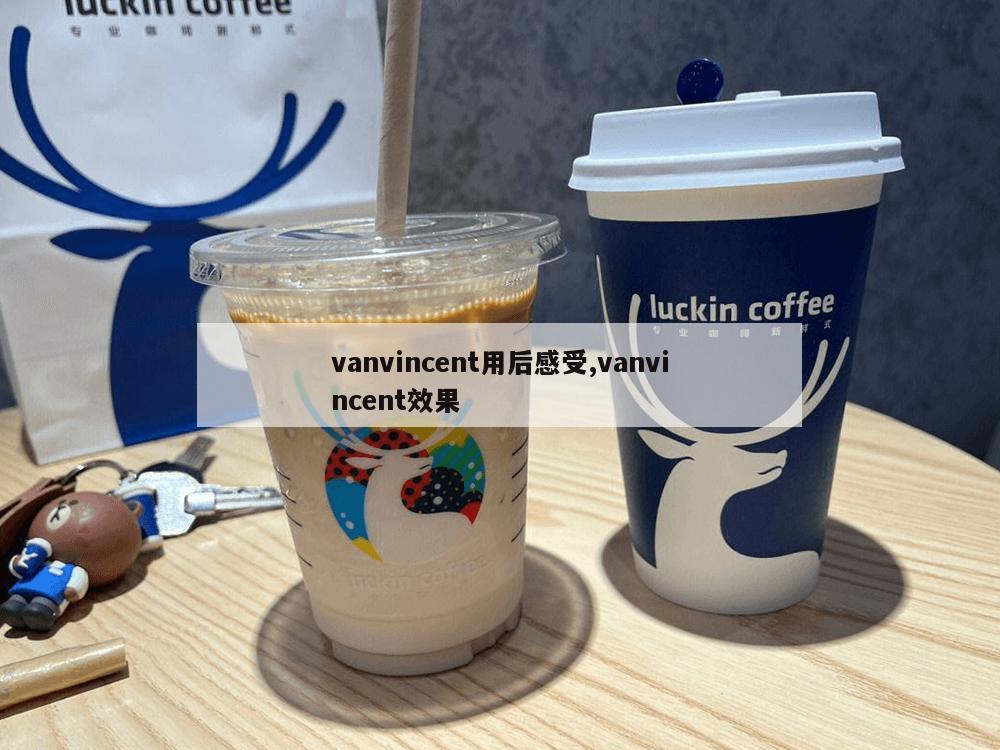 vanvincent用后感受,vanvincent效果