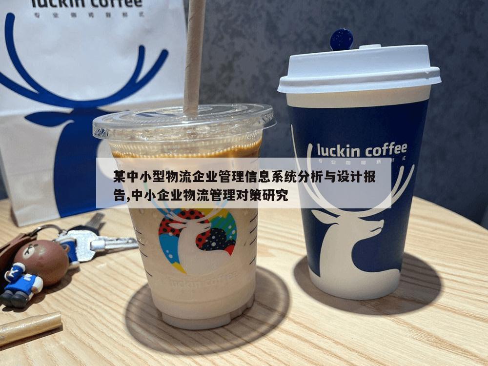 某中小型物流企业管理信息系统分析与设计报告,中小企业物流管理对策研究