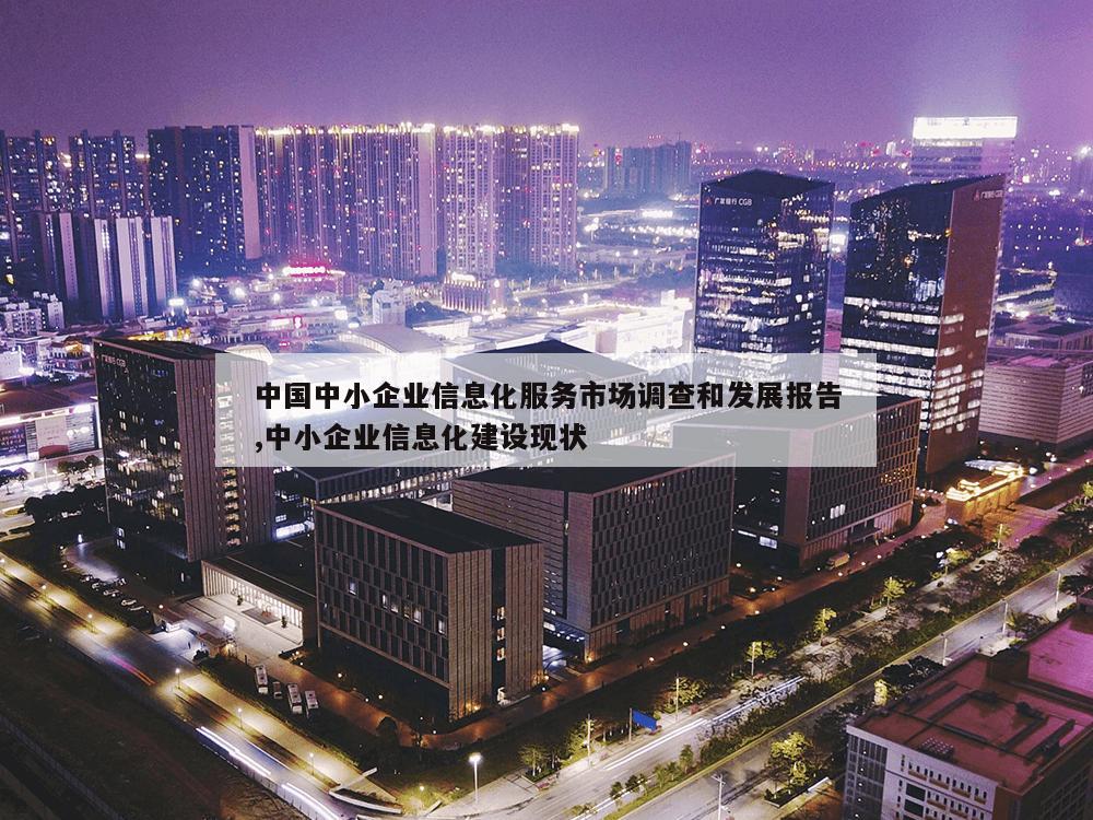 中国中小企业信息化服务市场调查和发展报告,中小企业信息化建设现状