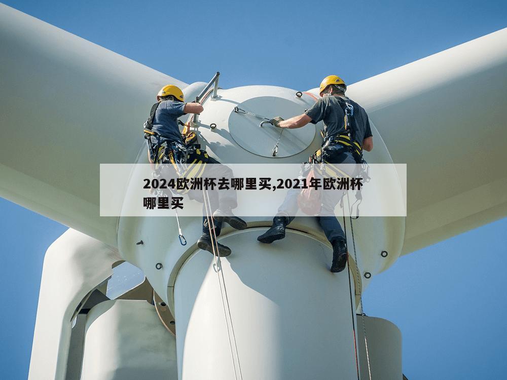 2024欧洲杯去哪里买,2021年欧洲杯哪里买